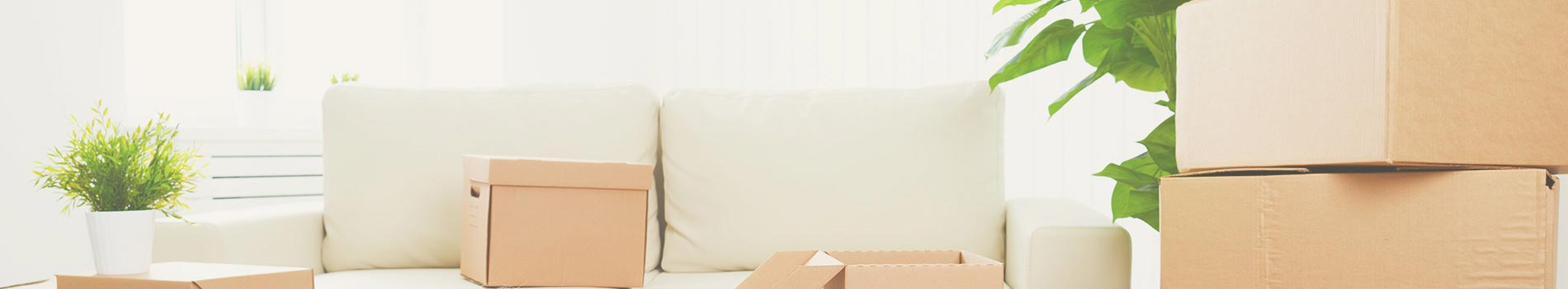 Packers and Movers in Mumbai